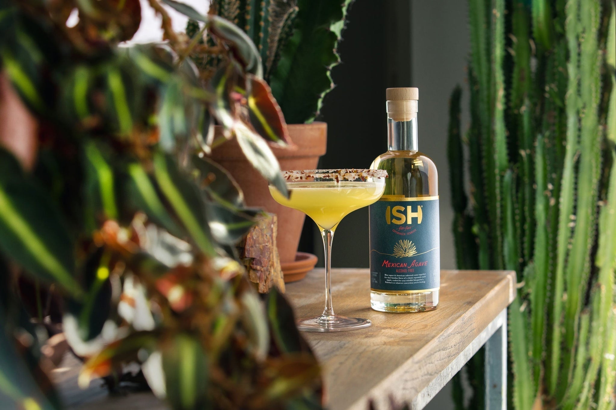 ISH – Az alkoholmentes italok új dimenziója!